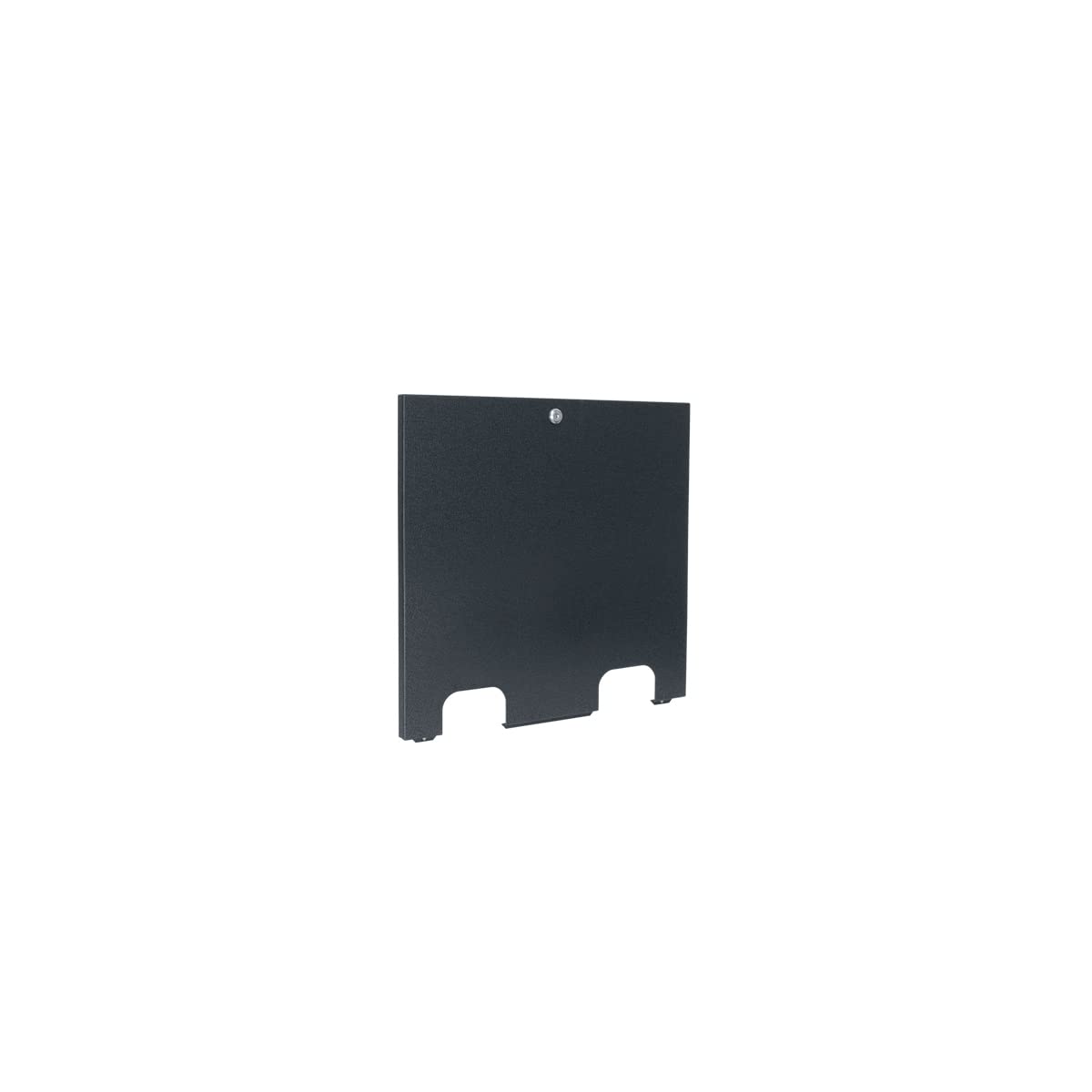 Lowell LDTR-RAC10 Rear Access Cover, 10U