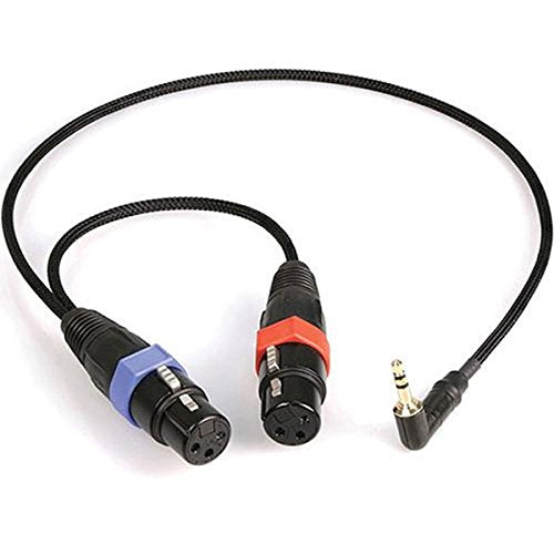 Bosch Communication Bosch Communication Ca-23-16 Adapter Cable - Two Xlr3f to One Xlr6m.
