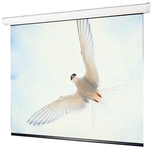 Draper 116240 119-Inch Targa HDTV Motorized Screen (Matte White) (Discontinued by Manufacturer)