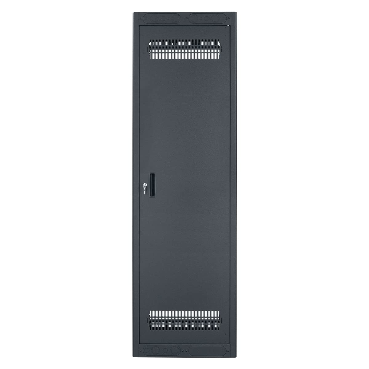 Lowell LER-4022 Enclosed Rack with Rear Door, 40 x 22 Inch