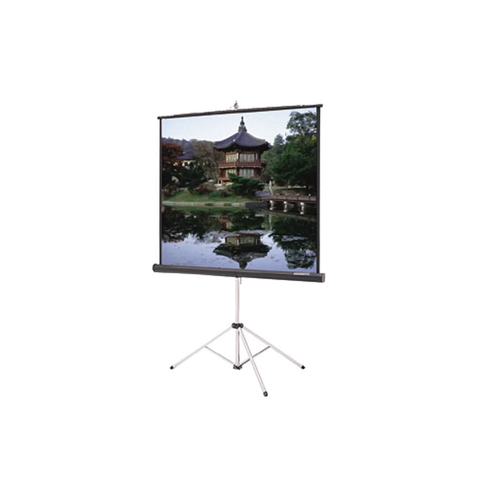 Carpeted Picture King Matte White Portable Projection Screen Viewing Area: 100" diagonal