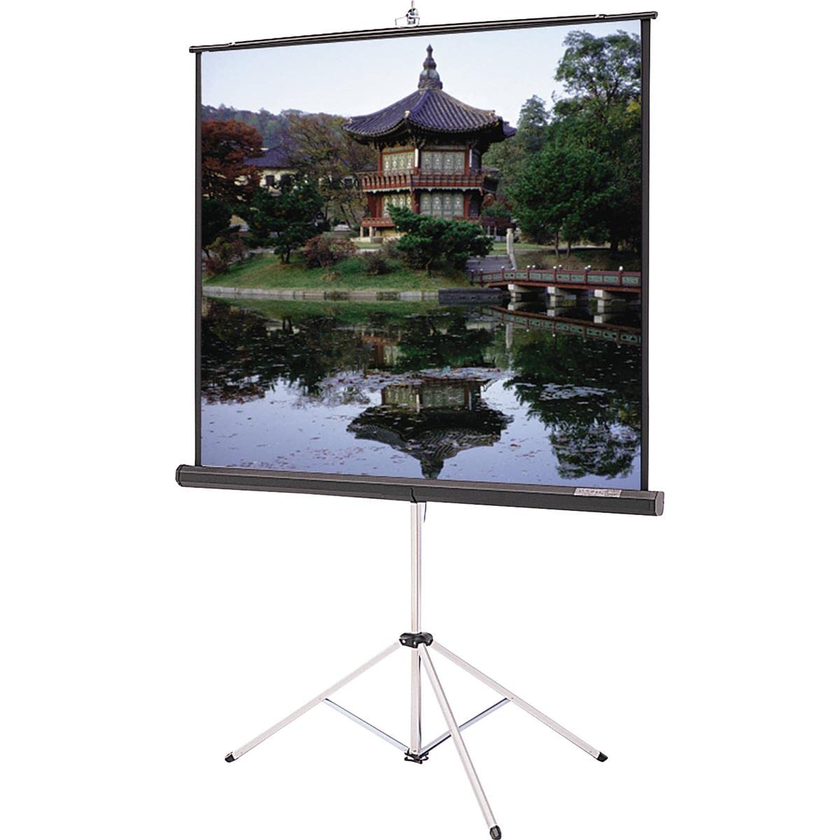 Carpeted Picture King Matte White Portable Projection Screen Viewing Area: 70" H x 70" W