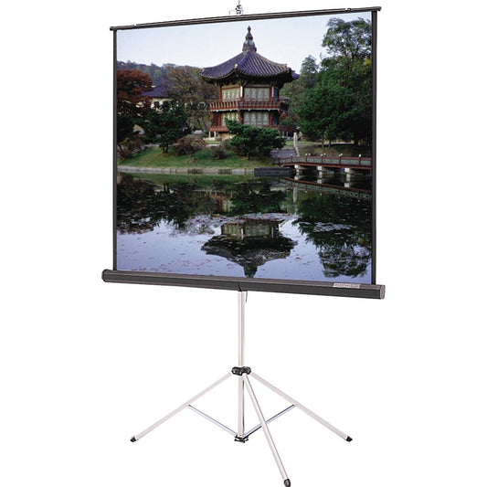 Carpeted Picture King Matte White Portable Projection Screen Viewing Area: 70" H x 70" W