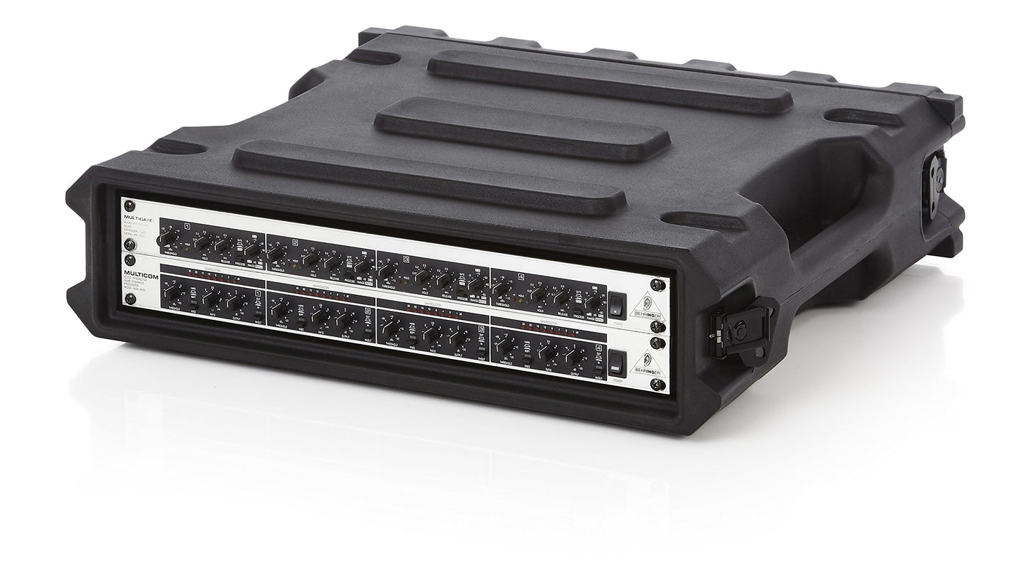 Gator Cases Pro Series Rotationally Molded 2U Rack Case with Standard 19" Depth; Made in USA (G-PRO-2U-19), Black (GPRO2U19)