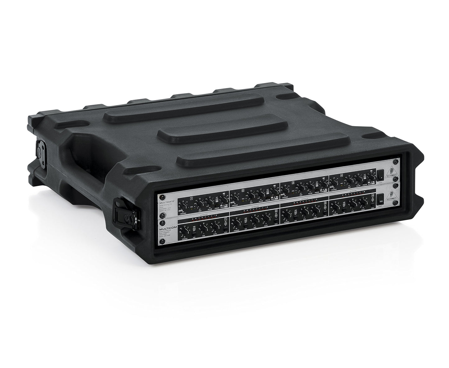 Gator Cases Pro Series Rotationally Molded 2U Rack Case with Standard 19" Depth; Made in USA (G-PRO-2U-19), Black (GPRO2U19)