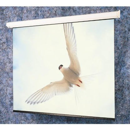 Targa Matte White Electric Projection Screen Viewing Area: 12' H x 16' W