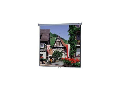 Projection Screen - Mildew Resistant, Fire Resistant