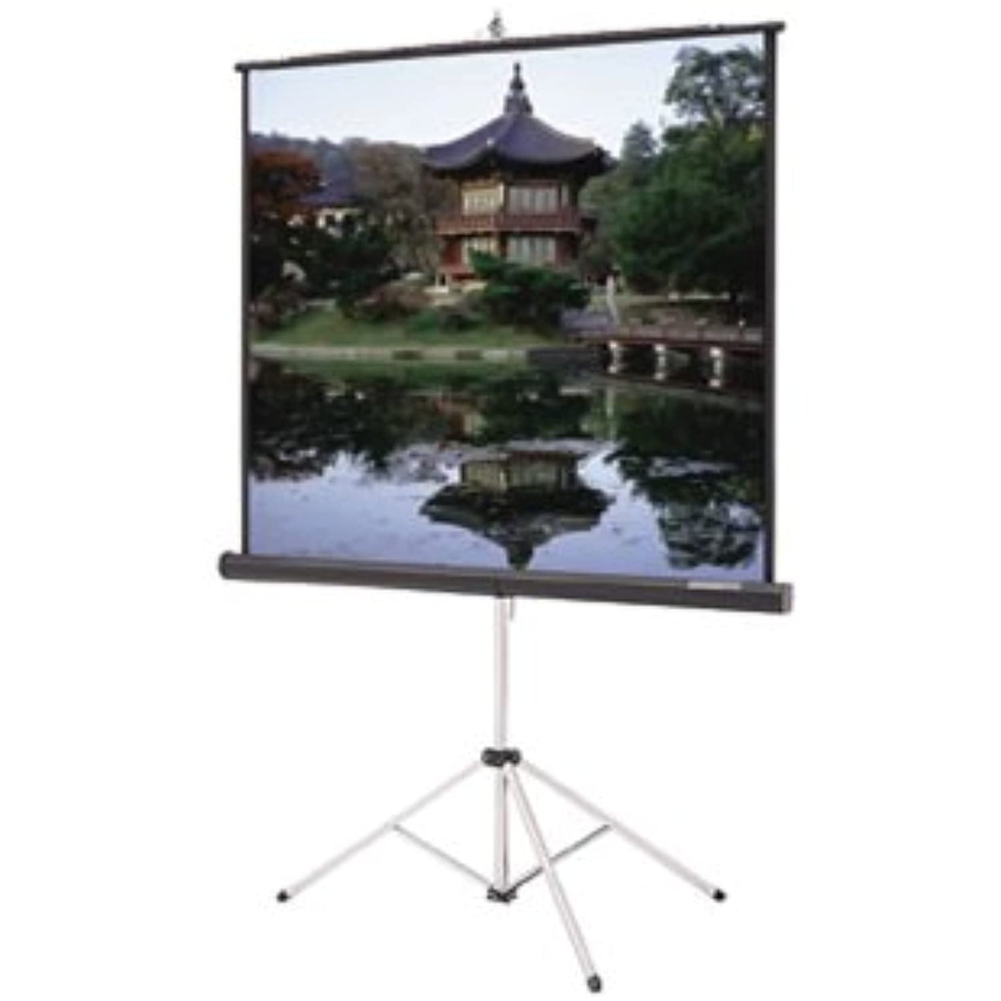 Da-Lite 40149 Picture King Home Theater Projection Screen