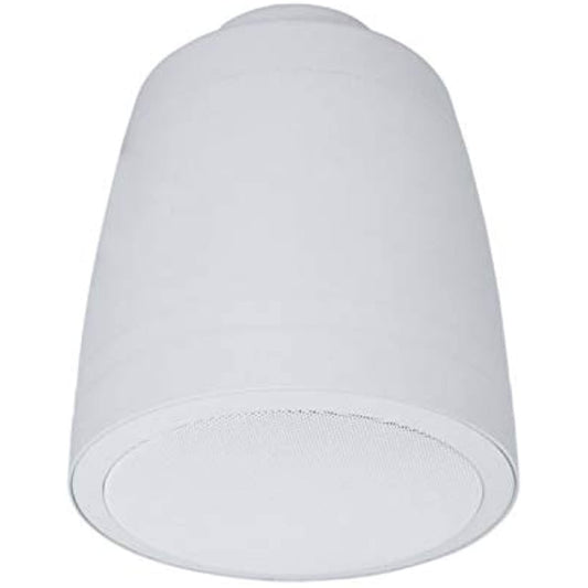 Lowell ESP-62TW 6-1/2 Inch Coaxial Pendant Speaker, Single Unit