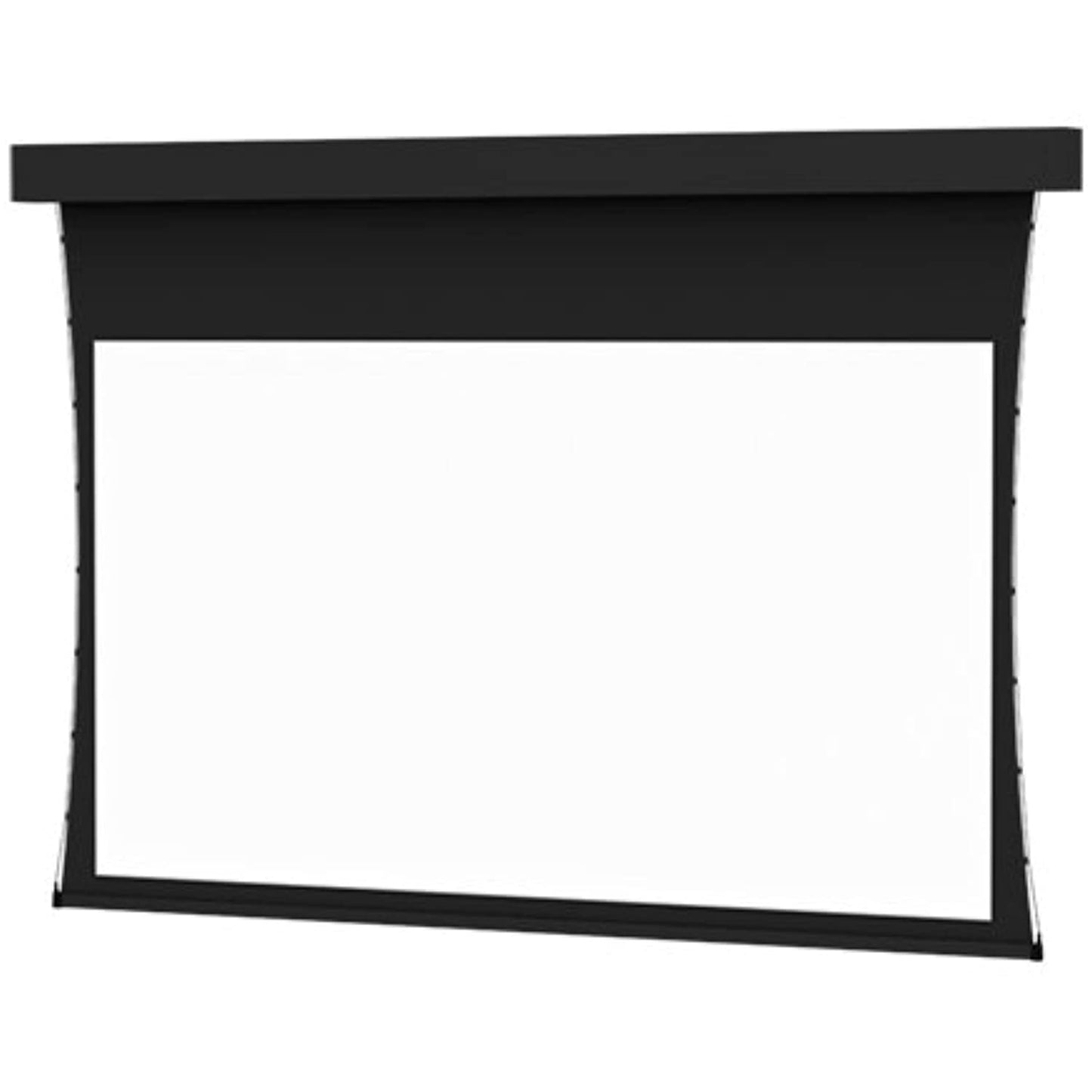 DA-LITE Tensioned Professional Electrol White Electric Projection Screen Viewing Area: 270 inch Diagonal