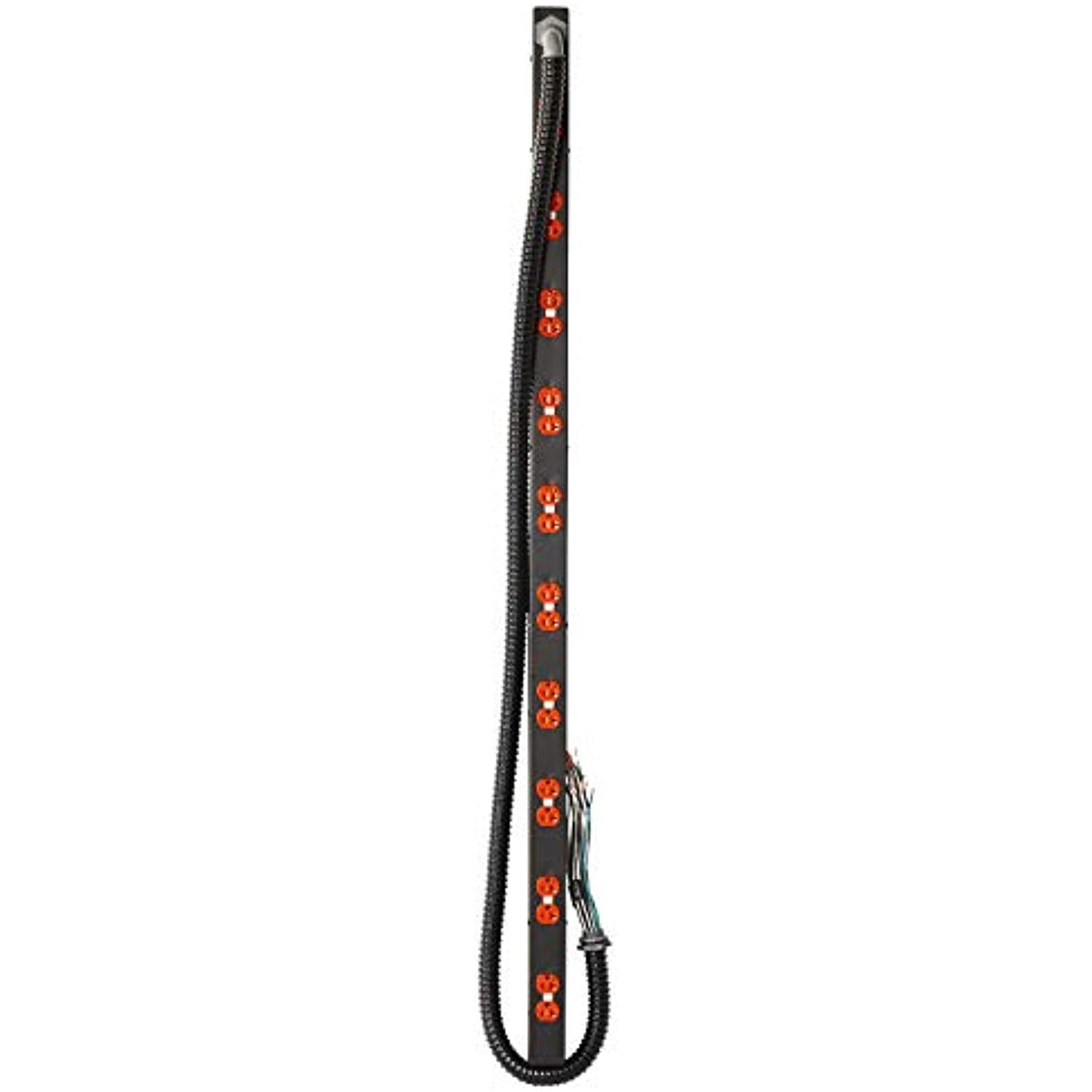 Lowell ACS-2020-IG-10C-HW Power Strip, 20A, 10-Circuits, 10 IG Duplex Outlets, Hardwired