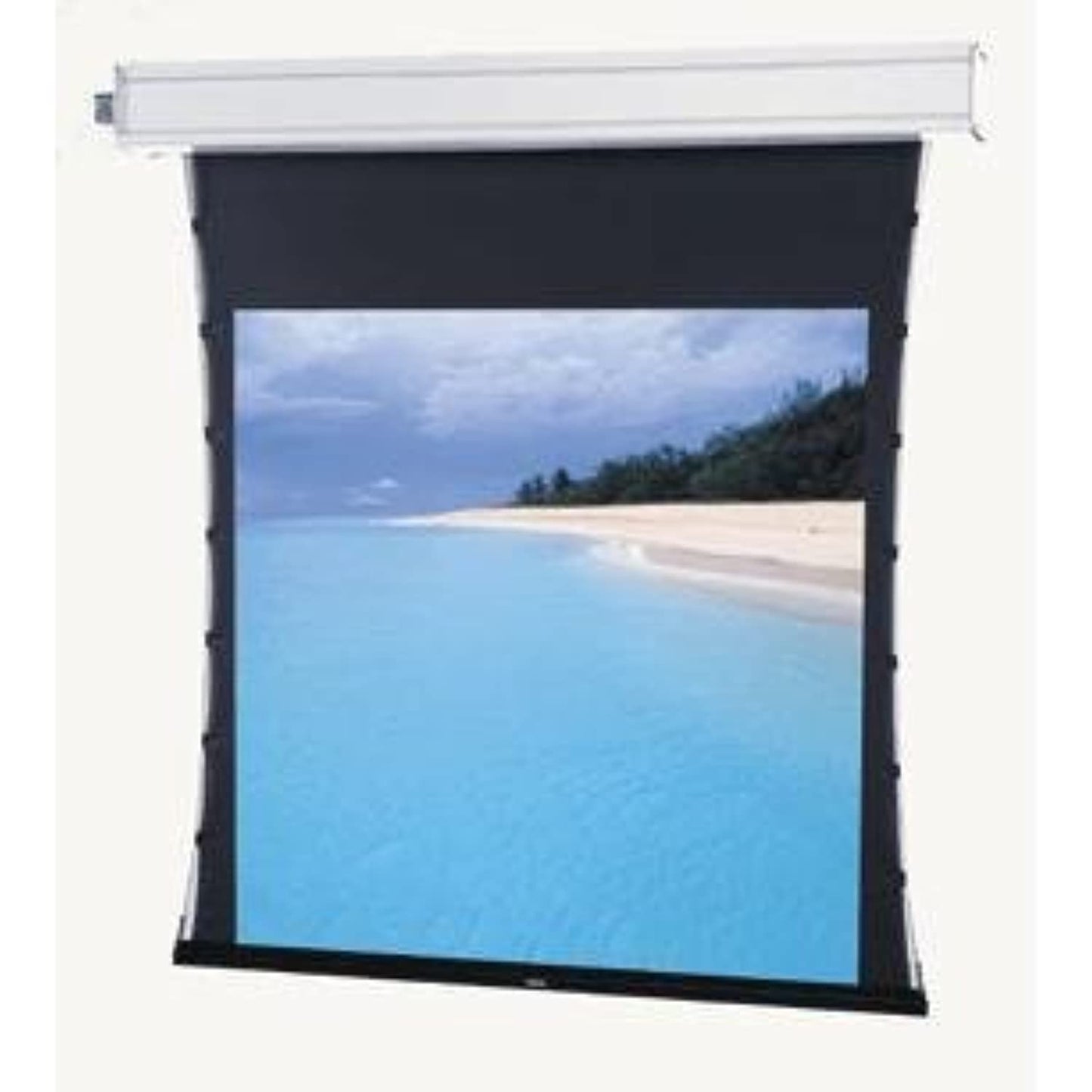 Dalite-35181B Adv Dlx, (BOX/CASE ONLY) Tnsd 184D Dmhc Projector Screen or accessory. [Leather Bound]
