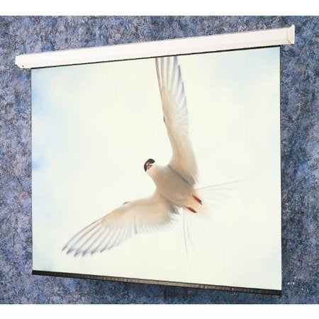 Targa Matte White Electric Projection Screen with Quiet Motor Viewing Area: 9' H x 9' W