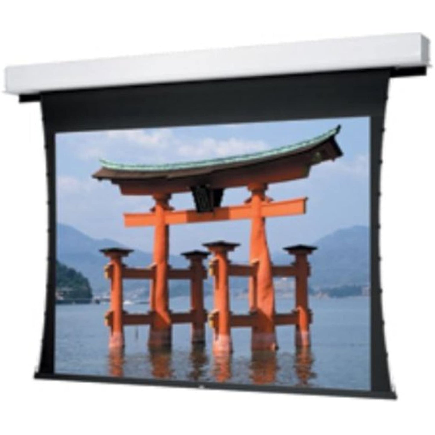 Tensioned Advantage Deluxe Electrol Electric Projection Screen Viewing Area: 180" Diagonal