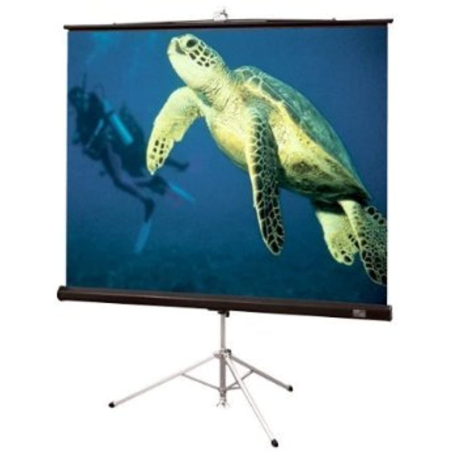 Matte White Diplomat / R Portable Screen - 50" x 50" diagonal AV Format Size: 50" x 50"