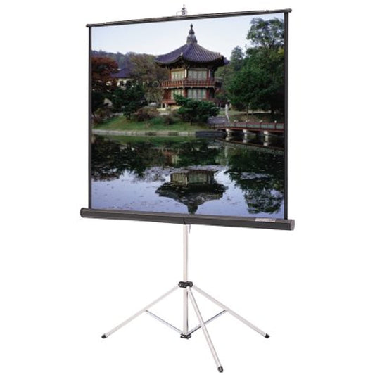 70IN Diag Picture King Portable Tripod Screen