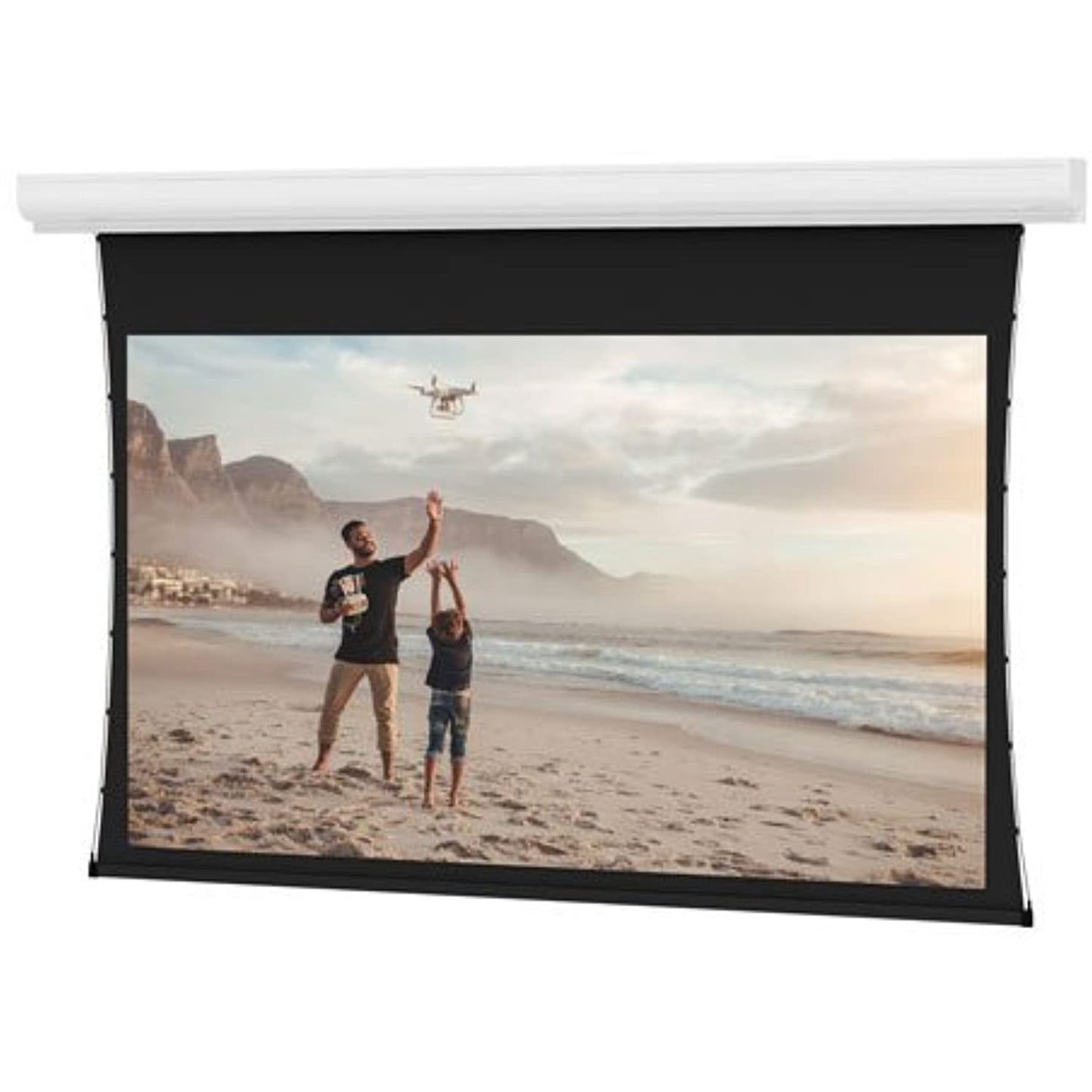 Da-Lite Tensioned Contour Electrol 88485-BLACK - 100" (60x80) - 4:3-1 Gain