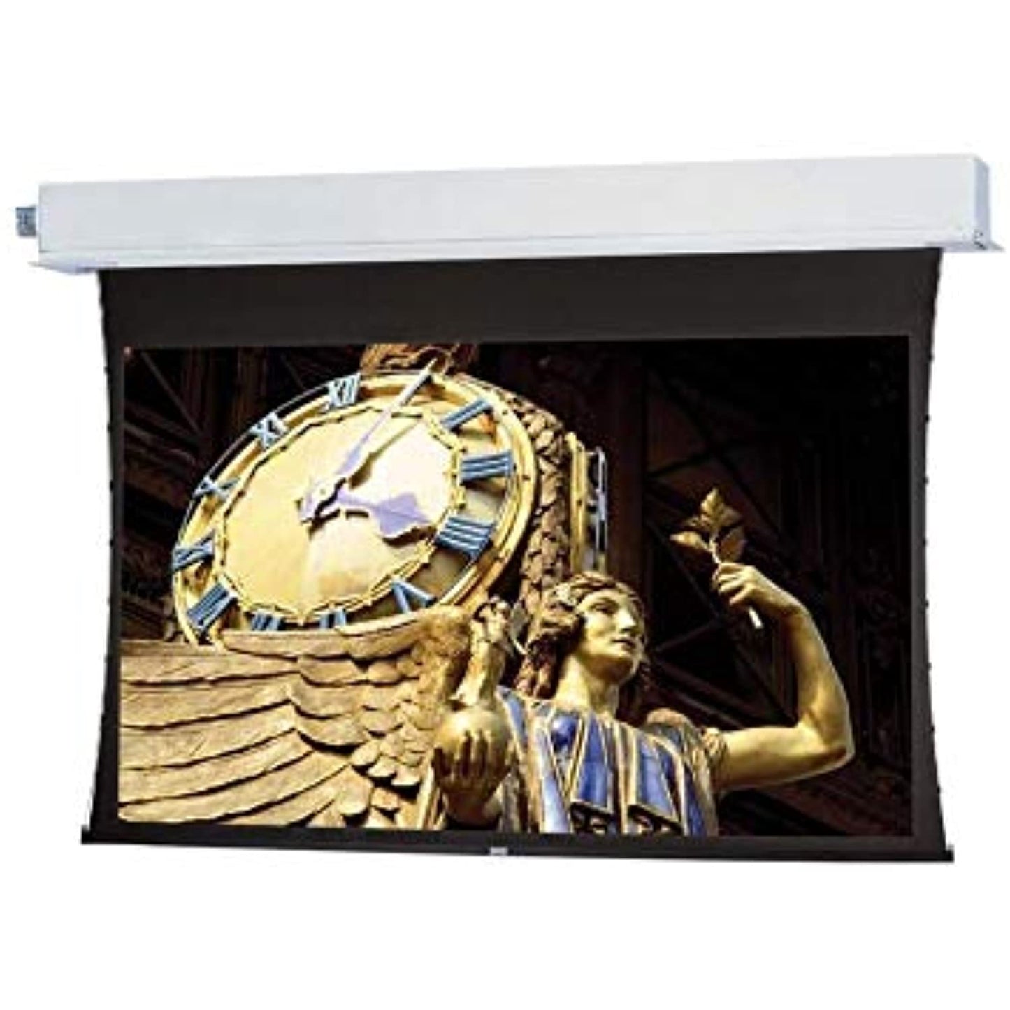 Dalite-87882LS Obs08 Adv,Tnsd 119D Dmhc