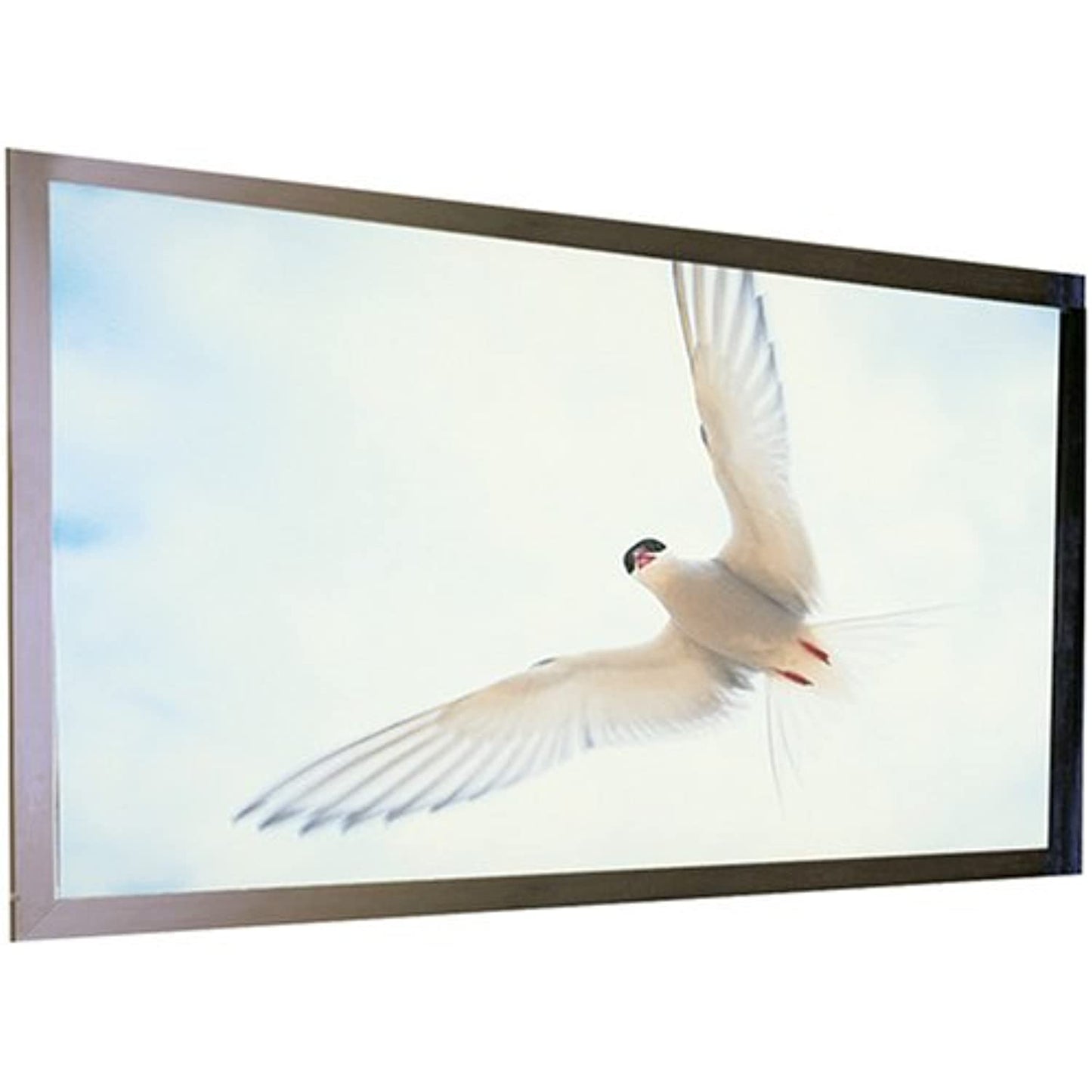 Draper 253287 M1300 92-Inch Onyx Premium 45-Inch X 80-Inch Fixed HDTV Screen - White