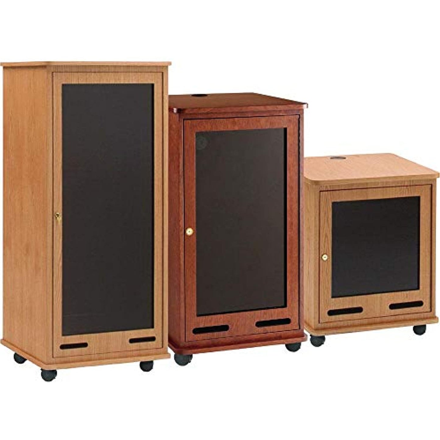 Dalite-98219ML Equip Rack Cart,12 Spaces Ml