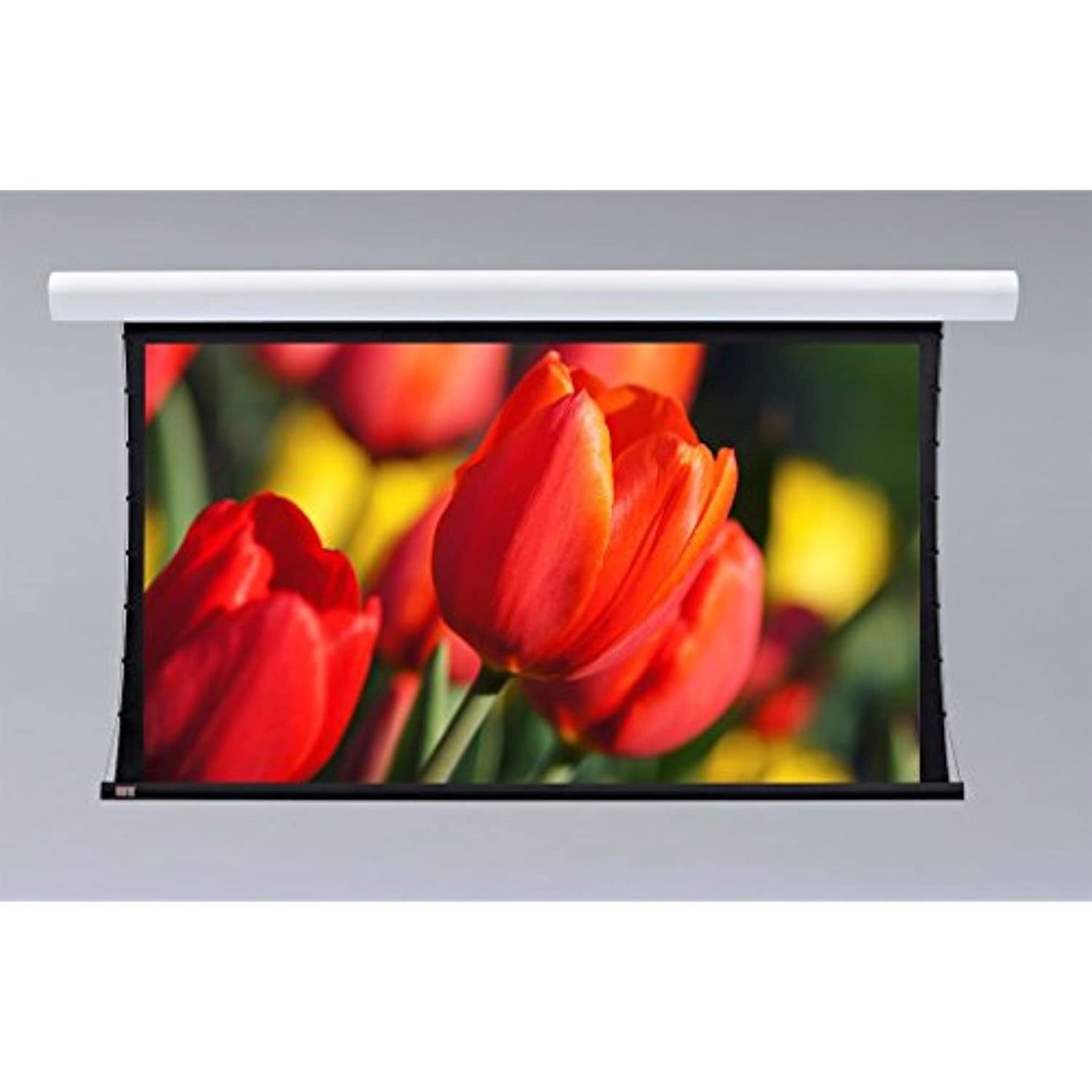 Draper 107301L Silhouette/Series V 100 diag. (60x80) - Video [4:3] - Grey XH600V 0.6 Gain