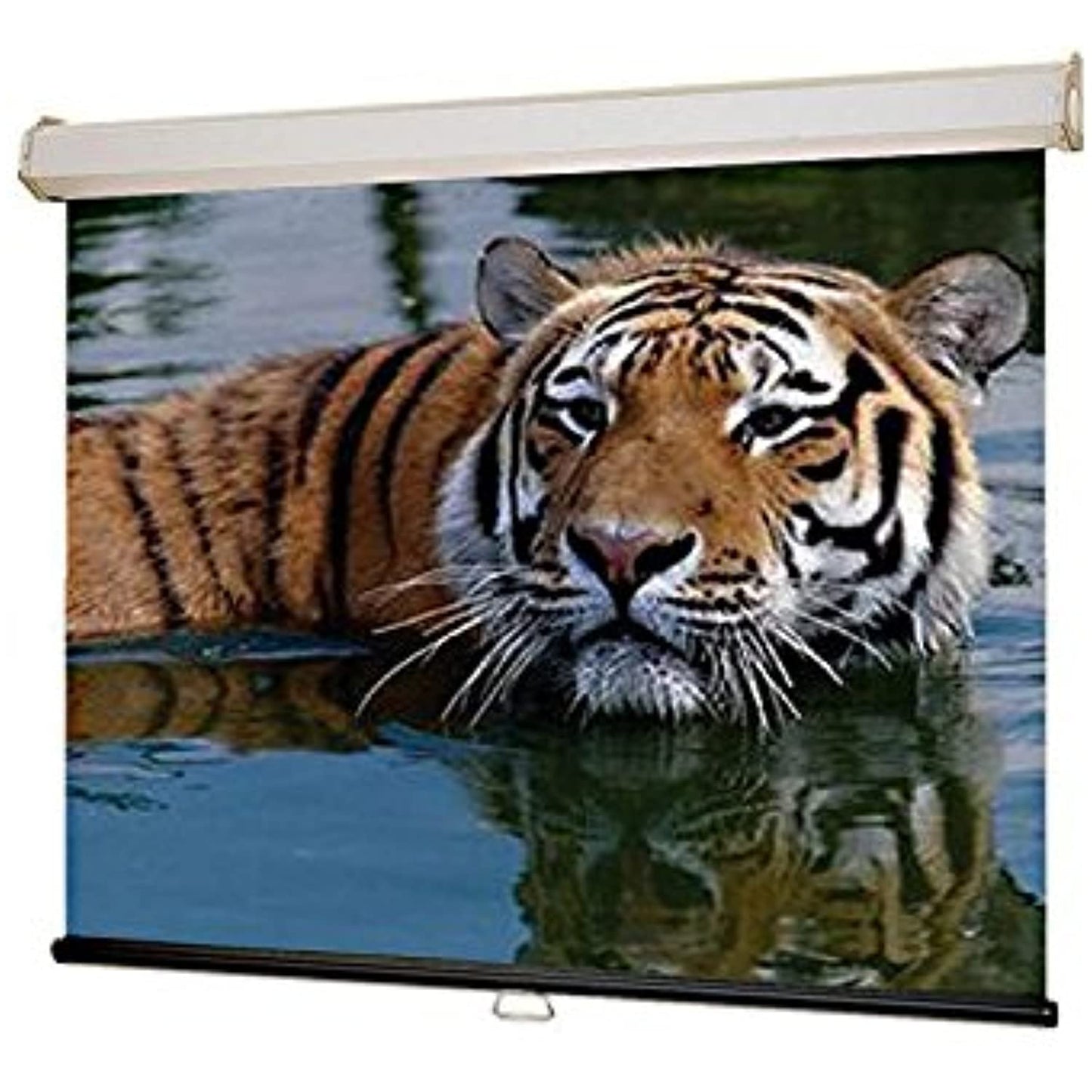 Draper, INC. Draper, Inc. 206113 161 in Diag 16X9 Mw Xt1000e