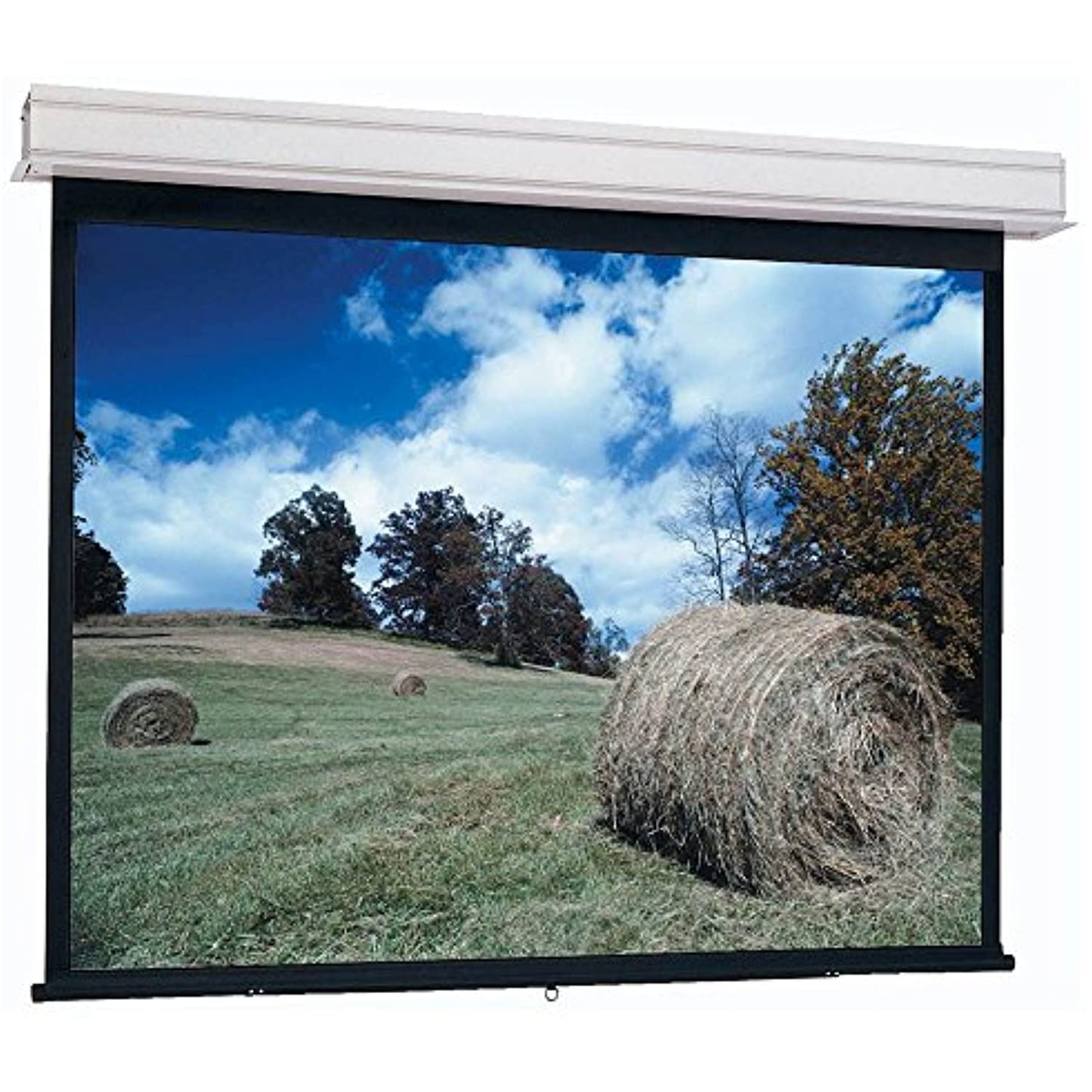 100D Advantage Manl Mw Ceiling Recessed Manual Screen