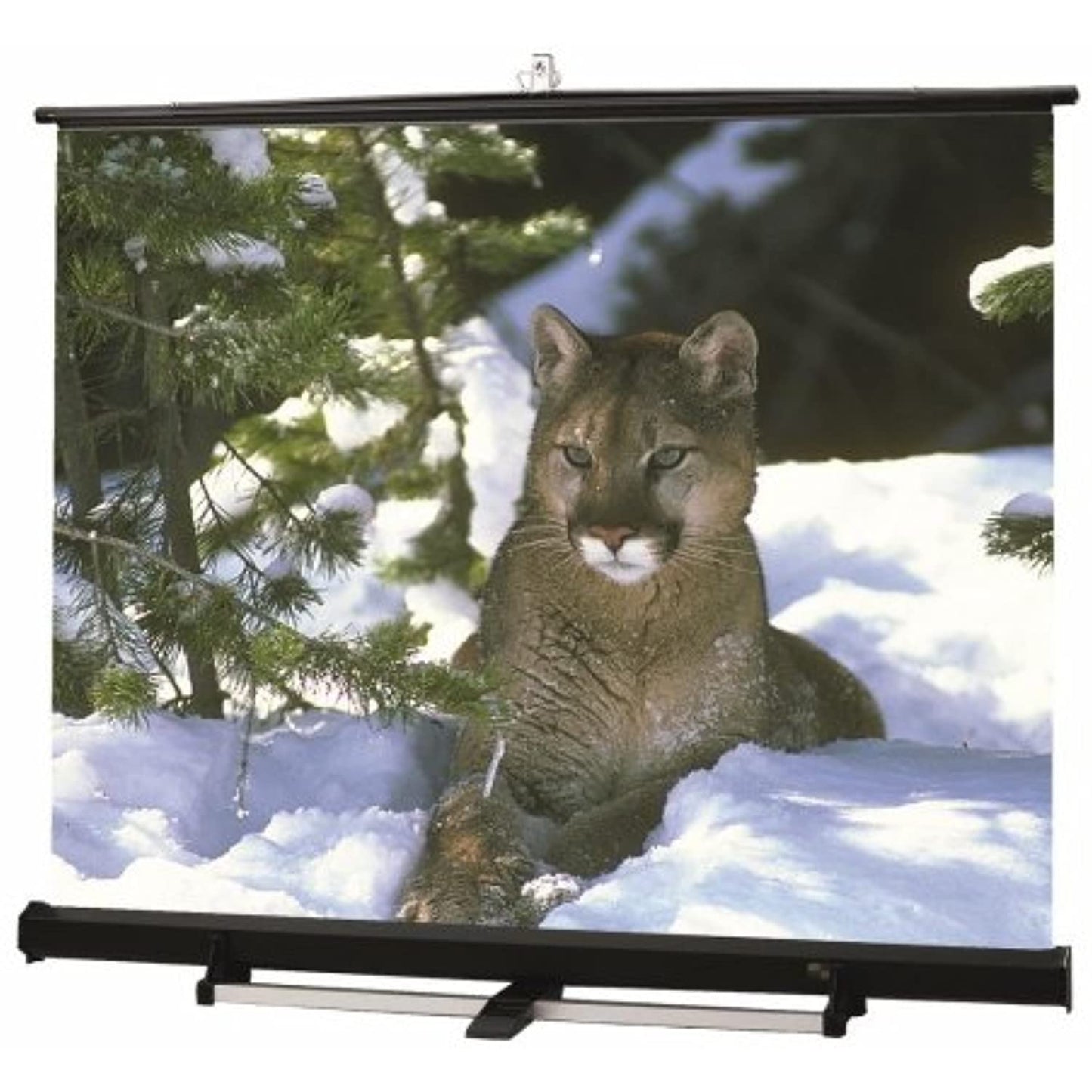 Luma 2 / R Matte White Portable Projection Screen Viewing Area: 180" diagonal