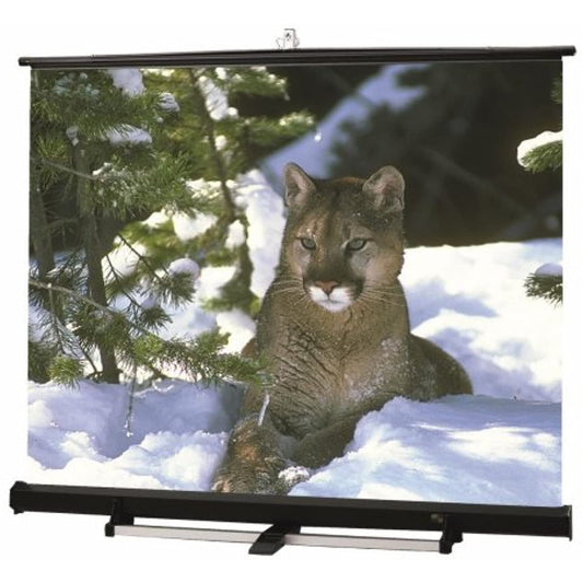 Luma 2 / R Matte White Portable Projection Screen Viewing Area: 132" diagonal