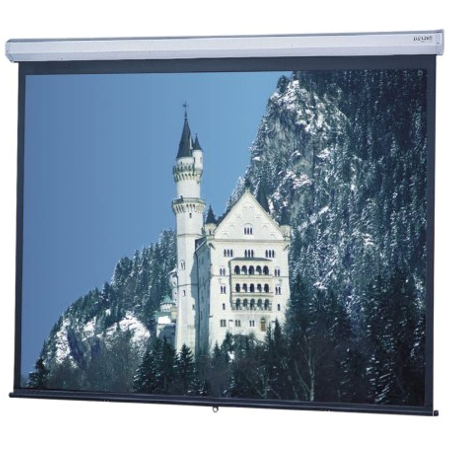 Da-Lite Model C Manual Projection Screen 36445