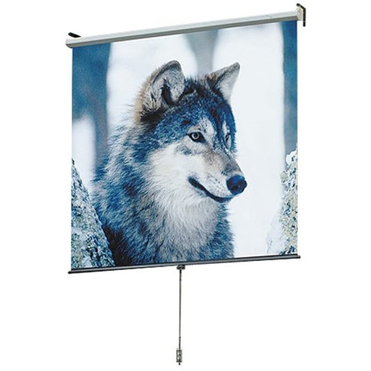 Luma AV Format - Projection screen - 1:1 - Fiberglass Matt White
