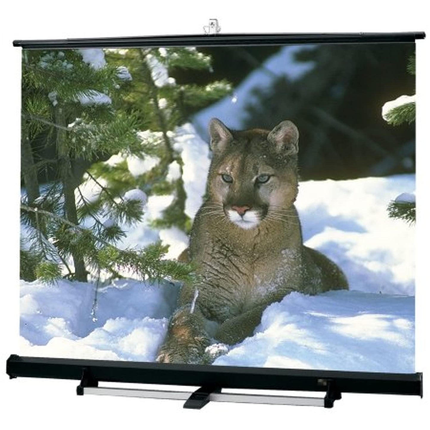 Matte White Luma 2 / R Portable Screen - NTSC Format Size: 10'