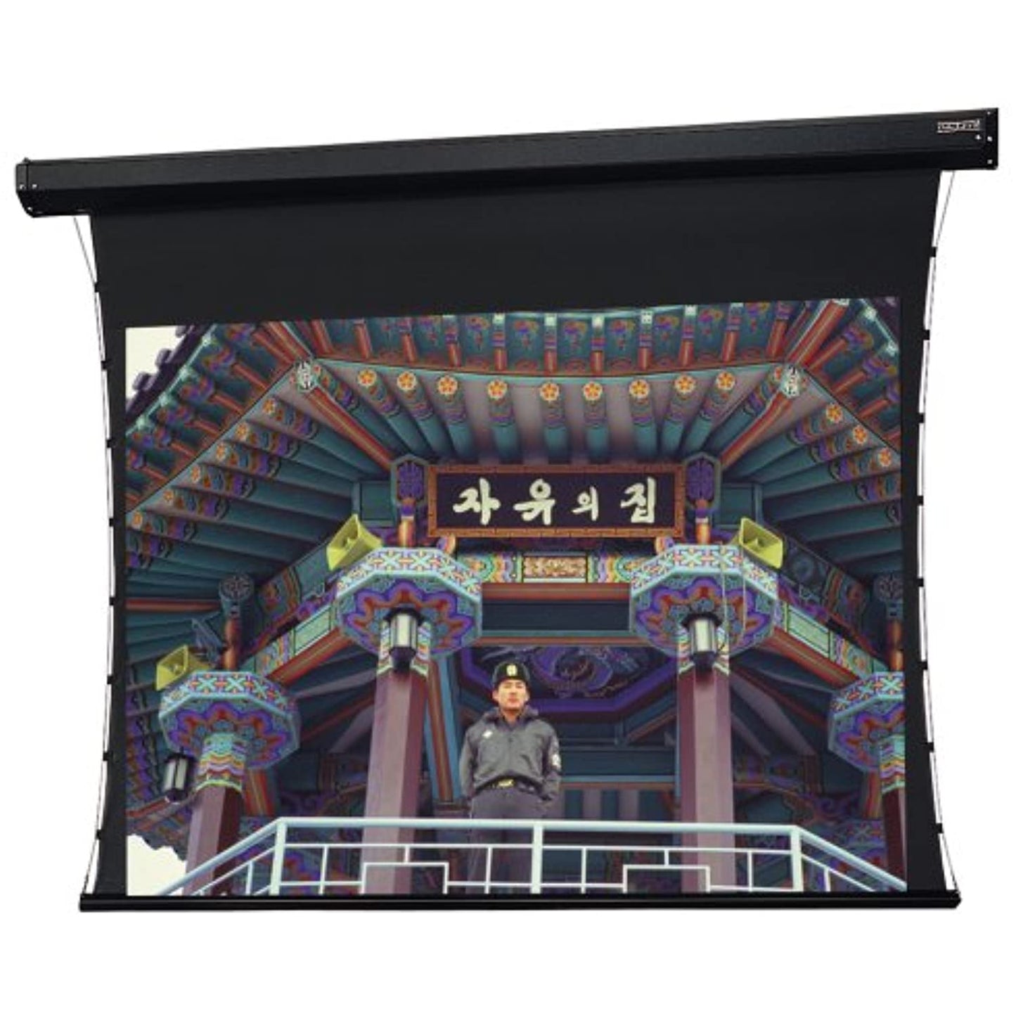 HC Da-Mat Tensioned Cosmopolitan Electrol - Wide Format Size: Wide 94" diagonal