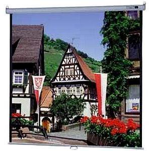 Dalite Model B Square Format 60 X 60 Inch High Contrast Matte White Projection Screen