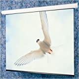 Targa Matte White Electric Projection Screen with Quiet Motor Viewing Area: 8