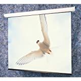 Draper Targa Contemporary motor-in-roller electric screen 116006